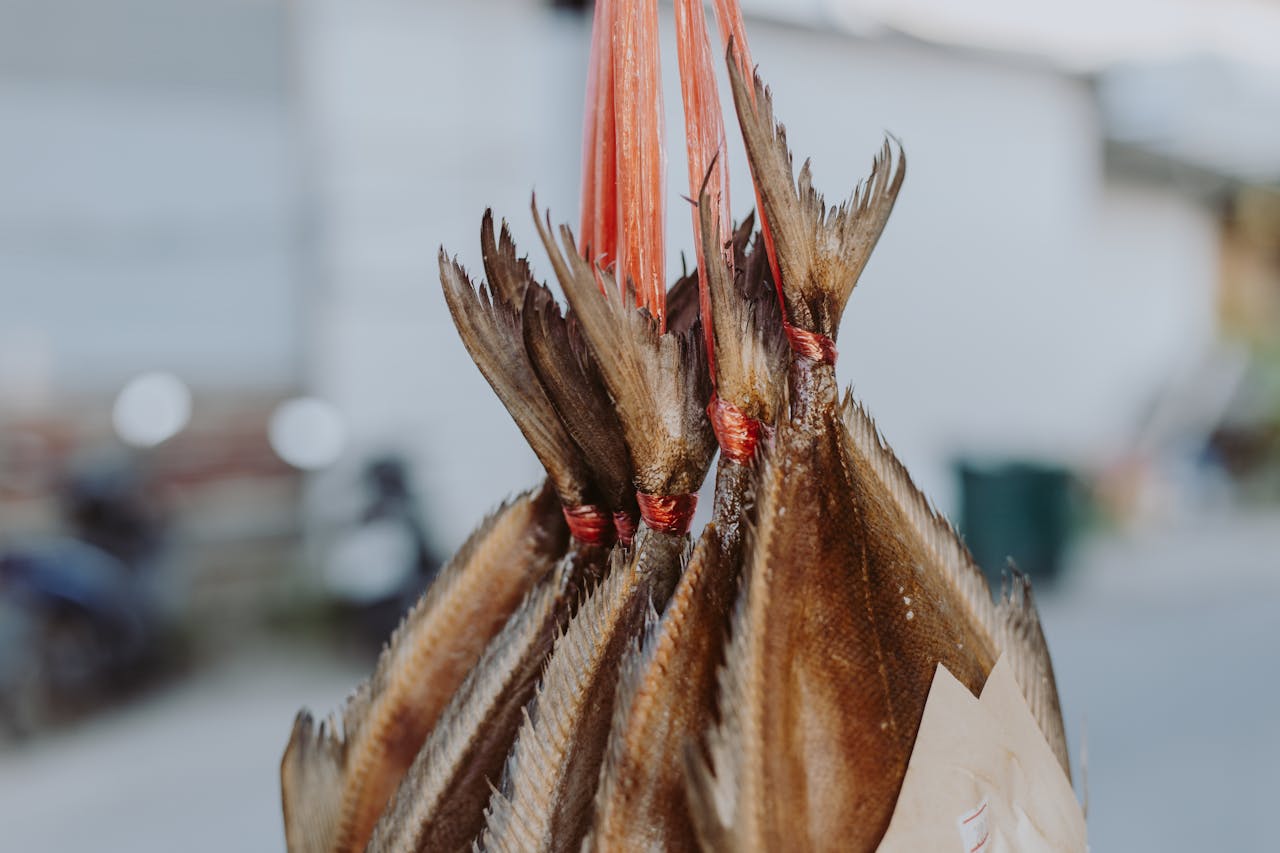 brown dried fish in close up photography 5608066